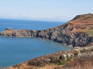 Red Kite Cottage - Rhyd Owen - 2