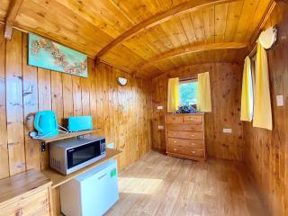Ivy Shepherds Hut - Cottage - 7