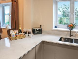 Rhyolite - Uk50844 - 6