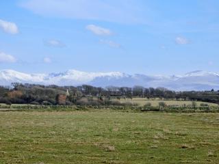 Lapwing - Uk6706 - 1