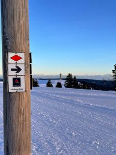 HAUS AM SEE - Natur Pur - Friedenweiler - 6