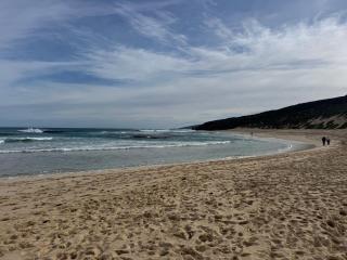 Unique Australian Shed Style House - Dunsborough - 7