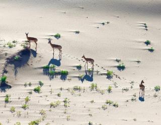 Gobi tour and chimgee guesthouse - 4