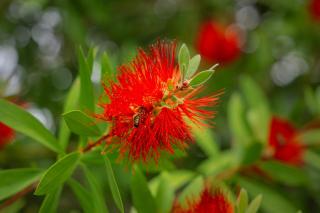 Green Garden Villa - 7