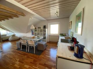 100m zum See, Traumhafte Dachwohnung mit Seeblick - 8