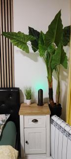 Abel Luxury Home - 6