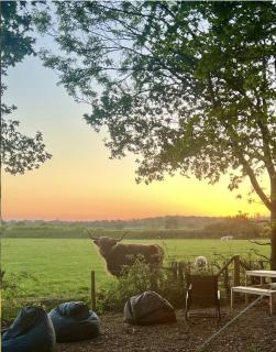 Rhosyn Highland Cattle Farm - 8