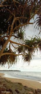 Blue Wave Beach Villa by Aaryan Group - 2