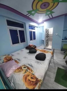 Hotel Ashish Palace Barari - 3