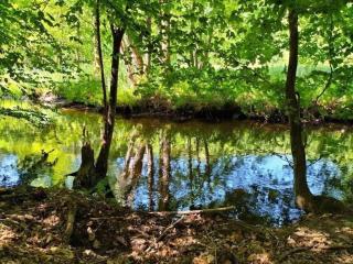 Gîte Les Copains de Maui - 7