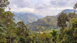 Stone Shack Ella - Ella - 9