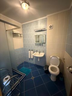 Златна люспа - 3