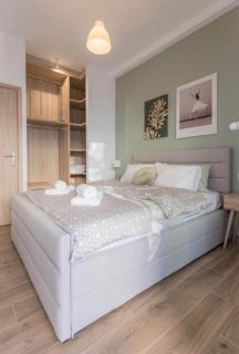 Athens Hill Suite 2 - Athene - 5