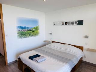 Panorama Cosy - Trois-Épis - 8