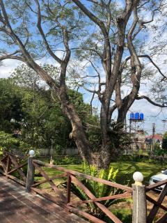 Wooden garden by Om - 1