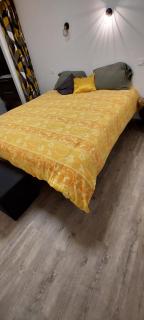 Agréable T2 50m2 - 9