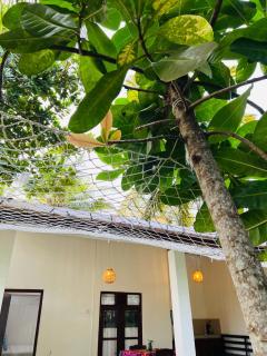 Lagoon Home Stay - 2