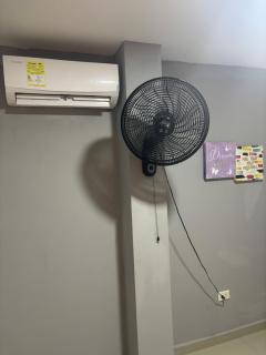 Gisela Wax More Guess Room - 2