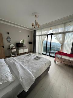 Çolakoğlu konağı - 5