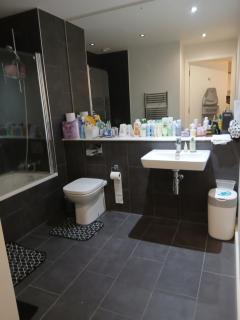 Spacious Room for 2 in a riverside flat - 7