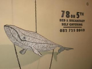 78on5th in Hermanus - 8