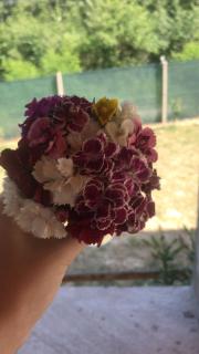 Căsuța din deal - 5