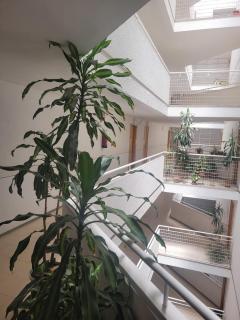 Habitaciones con vistas Madrid - 7