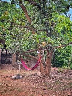 Maanasam Farmstay - Boutique 3BR Countryside Villa, Manikkadavu - 3