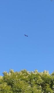 Domaine des Cerisiers - Accès direct piste cyclable reliant Honfleur - Parking privé - Grand jardin - 7