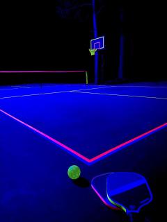 Luxury Retreat, Glow Pickleball, Backyard Cinema, Sauna and Game Room - 5