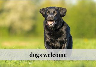 Crown Living Studios - Ideal für Geschäftsreisende, Monteure und Feriengäste - 8