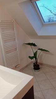 Chez Alex - 3