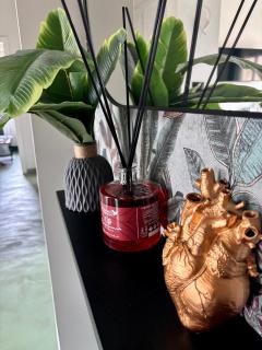 Domus Farnesina Ponte Milvio - Rome - 8