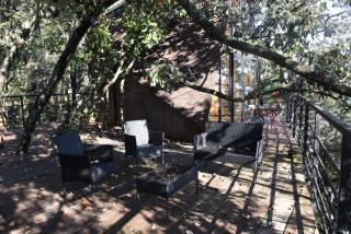 Cabaña Gokotta, Punta del Bosque - 5