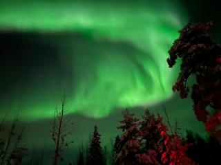 Arctic log house Hirvas - 4