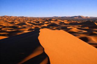 La Vallée des Dunes - Plus qu'un séjour, une rencontre - 9