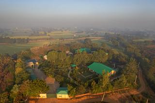 Tiger Woods Ranthambore - 9