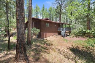 Summers Rest Mountain Cabin in the Pines - 7