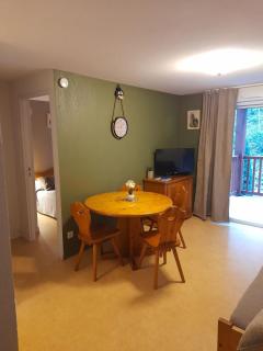 Appartement cosy à Saint-Lary-Soulan 28 m² avec piscine - 9