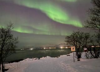 Telegrafbukta panorama - 8