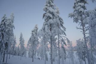 Aurora Lake View - 1
