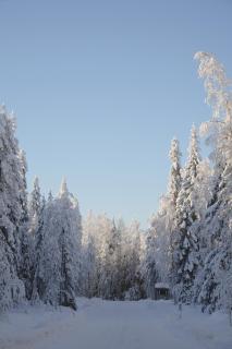 Aurora Lake View - 2