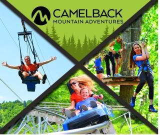 The Luxe Lodge Escape - 8