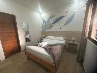 Wide Mouth Frog Quepos - 9