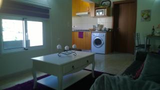 Apartamento Teixeira 2 - Arco da Calheta - 1