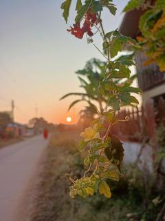 Six Nature Resort - 7