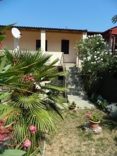 Apartment Katarina - Betina - 1