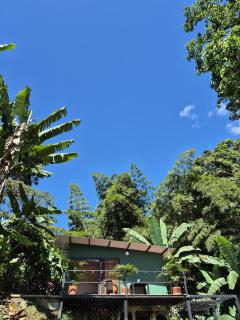 Cabaña el guadual - 7