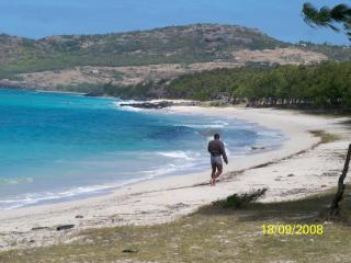 Le Pandanus - 2