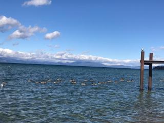 Paradice Motel - South Lake Tahoe - 3
